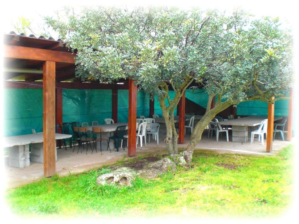 Agriturismo Pentuma Chiaramonti Bagian luar foto