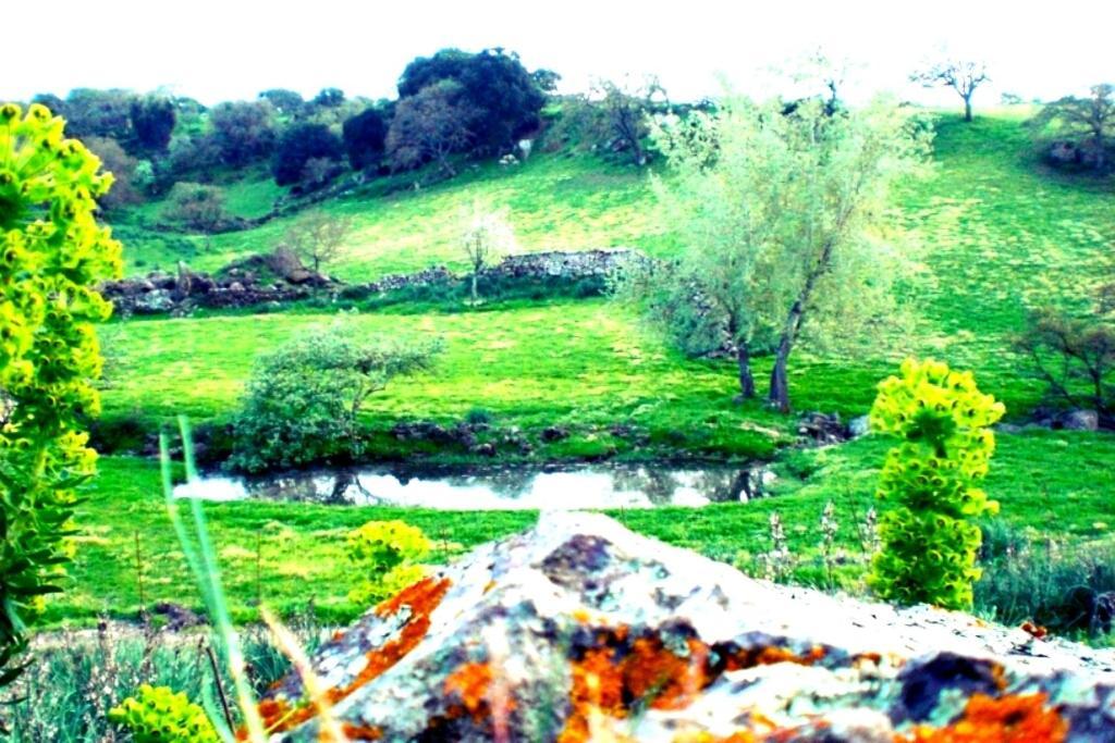 Agriturismo Pentuma Chiaramonti Bagian luar foto
