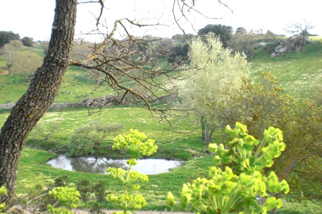 Agriturismo Pentuma Chiaramonti Bagian luar foto