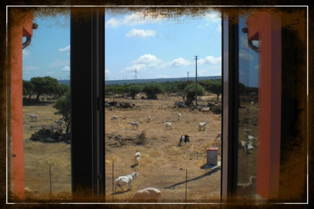 Agriturismo Pentuma Chiaramonti Ruang foto
